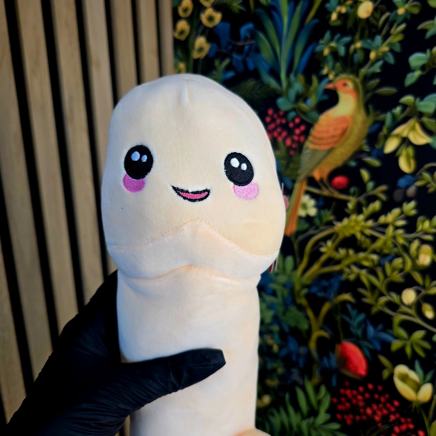 Pénis en peluche - 30cm