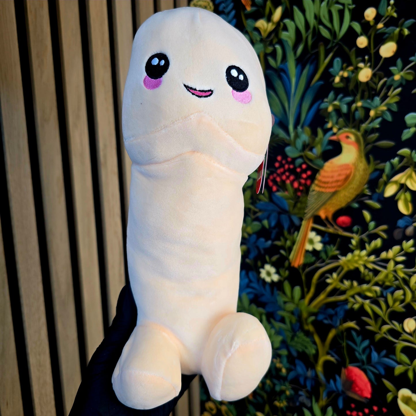 Pénis en peluche - 30cm